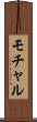 モチャル Scroll