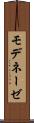 モデネーゼ Scroll