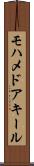 Mohamed Aqeel Scroll