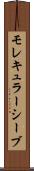 モレキュラーシーブ Scroll