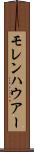 モレンハウアー Scroll