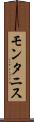 モンタニス Scroll