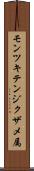 モンツキテンジクザメ属 Scroll