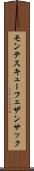 モンテスキューフェザンサック Scroll