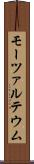 モーツァルテウム Scroll