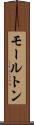 モールトン Scroll