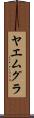 ヤエムグラ Scroll