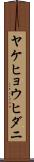 ヤケヒョウヒダニ Scroll