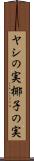 ヤシの実 Scroll