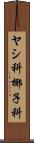 ヤシ科 Scroll