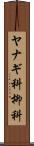 ヤナギ科 Scroll