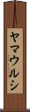 ヤマウルシ Scroll