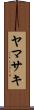 ヤマサキ Scroll