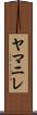 ヤマニレ Scroll