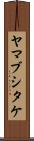 ヤマブシタケ Scroll