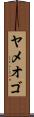 ヤメオゴ Scroll