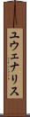 ユウェナリス Scroll
