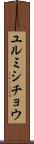 ユルミシチョウ Scroll