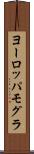 ヨーロッパモグラ Scroll