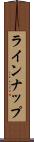 ラインナップ Scroll
