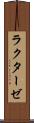 ラクターゼ Scroll