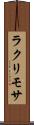 ラクリモサ Scroll