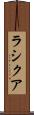 Rashiqua Scroll