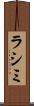 ラシミ Scroll