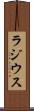 ラジウス Scroll