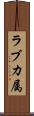 ラブカ属 Scroll