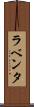ラベンタ Scroll