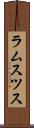 ラムスツス Scroll