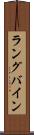 ラングバイン Scroll