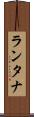 ランタナ Scroll