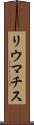 リウマチス Scroll