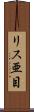 リス亜目 Scroll