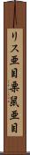 リス亜目 Scroll