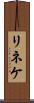 リネケ Scroll