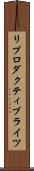 リプロダクティブライツ Scroll