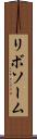 リボソーム Scroll
