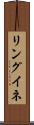リングイネ Scroll