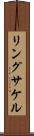 リングサケル Scroll