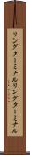 リングターミナル Scroll