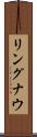 リングナウ Scroll