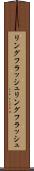 リングフラッシュ Scroll
