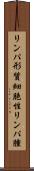 リンパ形質細胞性リンパ腫 Scroll