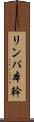 リンパ本幹 Scroll