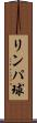 リンパ球 Scroll