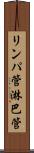 リンパ管 Scroll