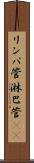 リンパ管 Scroll
